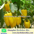 Hot Sale F1 Hybrid yellow Pepper seeds